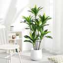 Dracaena Artificial Plant Indoor 5FT - Large Tropical Fake Tree with Lifelike Leaves - Tall Faux Floor Plant in Pot - Artificial Dracaena Tree Indoor for Home Office Living Room Decor