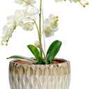 vensovo 7.5 Inch Ceramic Plant Pot with Drainage Holes and Saucer - Large Round Orchid Pot for Indoor Repotting, Ceramic Planter Maintain Air Circulation, Yellow (Yellow Over Cream)