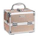 FRENESSA Makeup Case Train Case Portable Makeup Box with Mirror Lock Box Travel Cosmetic Train Cases Hard Makeup Organizer for Nail Craft Storage Vanity for Girl Rose Gold