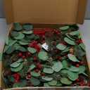 24 inch Christmas Wreath with Lights, Christmas Wreath for Front Door Christmas Door Wreaths with Red Berries Pine Cones Cedar Eucalyptus Leaves Aritificial Wreath for Christmas Indoor Outdoor Decor