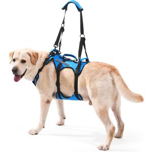 Dog Lift Harness for Large Dogs, Full Body Support Sling with 3 Handles and Shoulder Strap, Carrying Vest for Senior Dogs with Arthritis or Joint Injuries, Stairs Assistance, Blue, X-Large