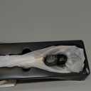 Doge&Vollar Facial Massager Face and Neck | Shaper & Slimmer for Women | Korean Skin Care | Lymphatic Contour Face Brush Face Roller Lymphatic Drainage | Rechargeable for Home & Travel Use