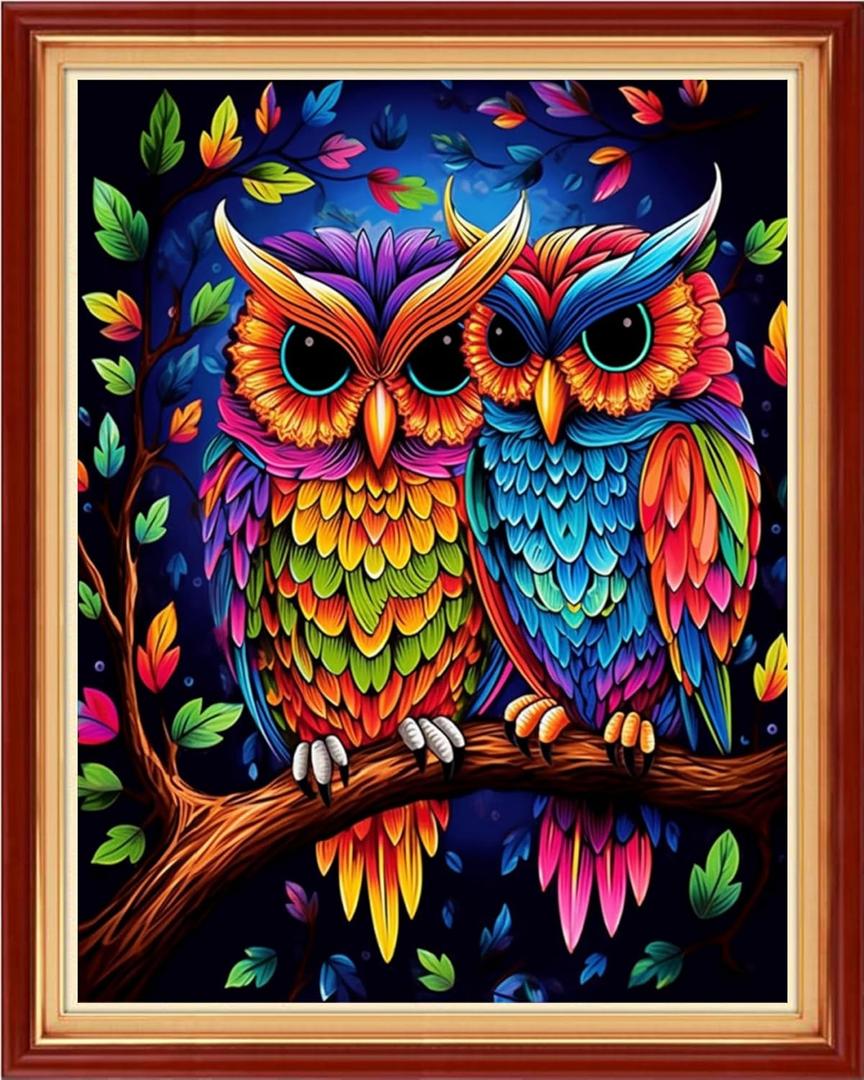 Findvoor Stamped Cross Stitch Kits for Beginner Embroidery Kits for Beginners Adults DIY 11CT Cross Stitch Patterns Needlepoint Kits Crossstitching Kits-Colorful Owl 16x20 inch (ArtworkColor09)