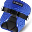 Comfort fit All Weather Step-in Dog Harness - Adjustable Small Dog Harness Medium Sized Dogs - Soft Padded Easy Walk Dog Vest Harnesses (XS (Chest 12"-14"), Blue)