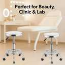 Heavy Duty Stainless Steel Stool for Work Bench, Adjustable Swivel Stool with 5 Wheels, 304 Stainless Steel Structure, Round Cushion, Load-Bearing 450 Ib, Pulley model