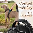 rabbitgoo Dog Harness for Large, No Pull Pet Harness with 3 Buckles, Adjustable Soft Padded Vest with Control Handle, Walking Reflective Pet Vest for Large Dogs, Black, L
