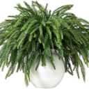 16 Pcs Christmas Norfolk Pine Branches,19" Real Touch Artificial Faux Norfolk Pine Stems,Artificial Cedar Pine Stems, Artificial Greenery,Suitable for Vases, DIY Wreaths,Home and Garden Decorations