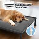 Veehoo Chew Proof Elevated Dog Bed, Padded Indestructible Raised Dog Cot