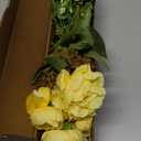 HUAESIN Artificial Flowers Silk Rose Peony Bouquets Yellow White Faux Flowers Summer Floral Arrangements for Indoor Vase Home Table Centerpieces Wedding Outdoor Cemetry Flowers