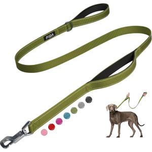 Fida 4 FT Heavy Duty Dog Leash with 2 Comfortable Padded Handles, Traffic Handle & Advanced Easy Snap Hook, Reflective Walking Lead for  Dogs, Green