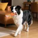 Interactive Dog Toys Bully Stick Holder,Treat-Dispensing & Squeaky Dog Chew Toys to Keep Them Busy Multifunctional Natural Rubber(Orange)