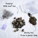 Teapigs Jasmine Pearls Tea Bags Made with Whole Leaves 50 Count (1 Pack of 50 Teabags) (EXP 02/06/27)