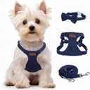 Dog Harness and Leash Set, XS No Pull Adjustable Puppy Harness with Multifunction Denim Blue Dog Leash and Collar, Soft No Choke Escape Proof Pet Harness Vest for Small Dogs and Cats (Denim Blue, XS) (XS(4.5-11lb))