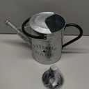 Galvanized Watering Can for Outdoor Indoor Plants, 1 Gallon Decorative Countryside Style Water Can with Removable Spout, Perfect Metal Watering Can for Indoor Plants and Garden Flower (Silver)