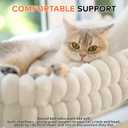 CHEERPALS Cat Window Perch for Indoor Cats Hammock for Window with Reversible Cushion, Foldable Cat Window Bed for Large Cats and Kittens(White, Medium)