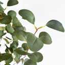 Warmplants Artificial Eucalyptus Tree, 6ft Tall Fake Eucalyptus Plant with Basket, Green Silver Dollars Silk Leaves Faux Tree for Home Office Livingroom Floor Decor Indoor