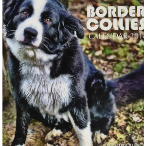 Border Collies Calendar 2018: 16 Month Calendar