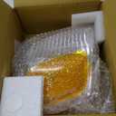 Eagle Eyes FR303-U000R Parking and Signal Light