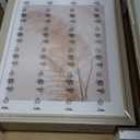 3 Pack 8x10 Boho Gallery Picture Frames - Cream Color Design Farmhouse Photo Frames - Wall or Tabletop Display with Plexiglass - Modern & Farmhouse Home Decor - Perfect for Photos & Artwork