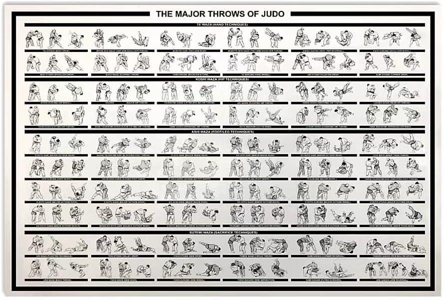 JIUFOTK The Major Throws Of Judo Metal Sign Judo Knowledge Infographic Posters Wall Decor Printed Plaque For Home Club Farm Garage 16x24 Inches