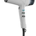 Nano Titanium Hair Dryer, Professional 1875-Watt Blow Dryer, Lightweight, Ionic Technology Dries Hair Faster with Less Frizz (Mist)