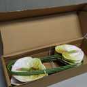 10pcs Artificial Anthurium,28 Inch Faux Tropical Plants Tailflowers,Realistic Flamingo Flower for Home Decor Centerpiece Wedding Bouquet Bonsai,Whitish Green