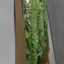 Dkaltm Single Silky Artificial Boston Fern Bush, 49Inch Large Artificial Ferns for Outdoors, Large Faux Ferns Artificial Plants,Suitable for Decorating Office, Living Room Faux Greenery,95Branches