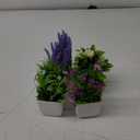 Der Rose 4 Pack Fake Plants Small Artificial Potted Faux Plants with Flowers for Home Bathroom Living Room Office Decor Indoor