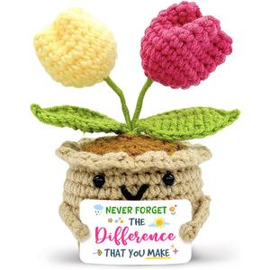 Tiny Detalles Positive Crochet Tulips Plants Gifts for Mom 2026, Meaningful Birthday Gifts for Mom, Never Forget The Difference that You Make Gift for Teachers Mentors Nurses Boss