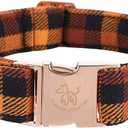 Elegant little tail Fall Dog Collar, Autumn Pet Collar Durable Yellow Plaid Dog Collars Male or Female Holiday Pet Gift Adjustable Dog Collar for Large Dogs (Large (Pack of 1), Black and Yellow)
