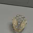 Outus Disease Teeth Model Dental Implant Teeth Model with Removable Tooth Dentist Standard Tooth Pathological Demonstration for Christmas Education Dental Supplies(Transparent,2 Pcs)