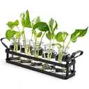 Mkono Propagation Stations with Metal Stand, Desktop Plant Terrarium Glass Planter Vase for Hydroponic Plants Flower Cutting Home Office Garden Decor Plant Lover Gifts, 4 Jars