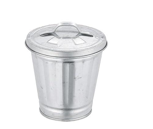 aoukoslt Silver Mini Galvanized Can with Lid, Metal Buckets with Lids, Wastebasket  Can, Metal Rubbish Bin, Tabletop Can, Flower Pot Pen Holde , Waste Receptacles and Liners