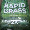 Scotts Turf Builder Rapid Grass Tall Fescue Mix, Combination Grass Seed and Fertilizer, Grows Green Grass in Just Weeks, 16 lbs.