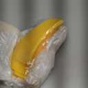 10 Pcs Paint Can Pour Spout for Gallon Cans, Plastic Paint Pouring Spout, Gallon Bucket Pour Spout, Pour Paint