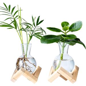 Propagation Stations, Propagation vases with Wooden Stand, Small Tabletop Glass Bulb Vases for Hydroponics Plant Propagation Station Home Office Decoration, Gift for Women Plant Lovers (2)