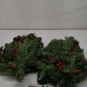 HomeKaren Christmas Tree 24 inch Prelit 2 Set Pathway Porch Christmas Trees Pre-Light LED Battery Operated Outdoor Xmas Decor for Entrance Driveway, Yard, Garden, Red Berries, Pine Cones