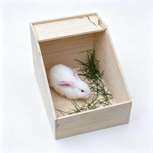 Rabbit Nesting Box, 18"x13"x12", Wood | 5" Entry Height, Fully Detachable Lid, For Breeding, Nursing & Nesting, For Rabbits, Chickens, Guinea Pigs, Chinchillas