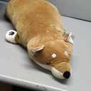 30'' Shiba Inu Plush Stuffed Animal, Giant Stuffed Animals for Anxiety, Big Shiba Inu Corgi Plush, Dog Plush Pillow Hugging Pillow Sleeping Dog Cushion Soft Plush Toy Big Stuffed Animals Kawaii Decor