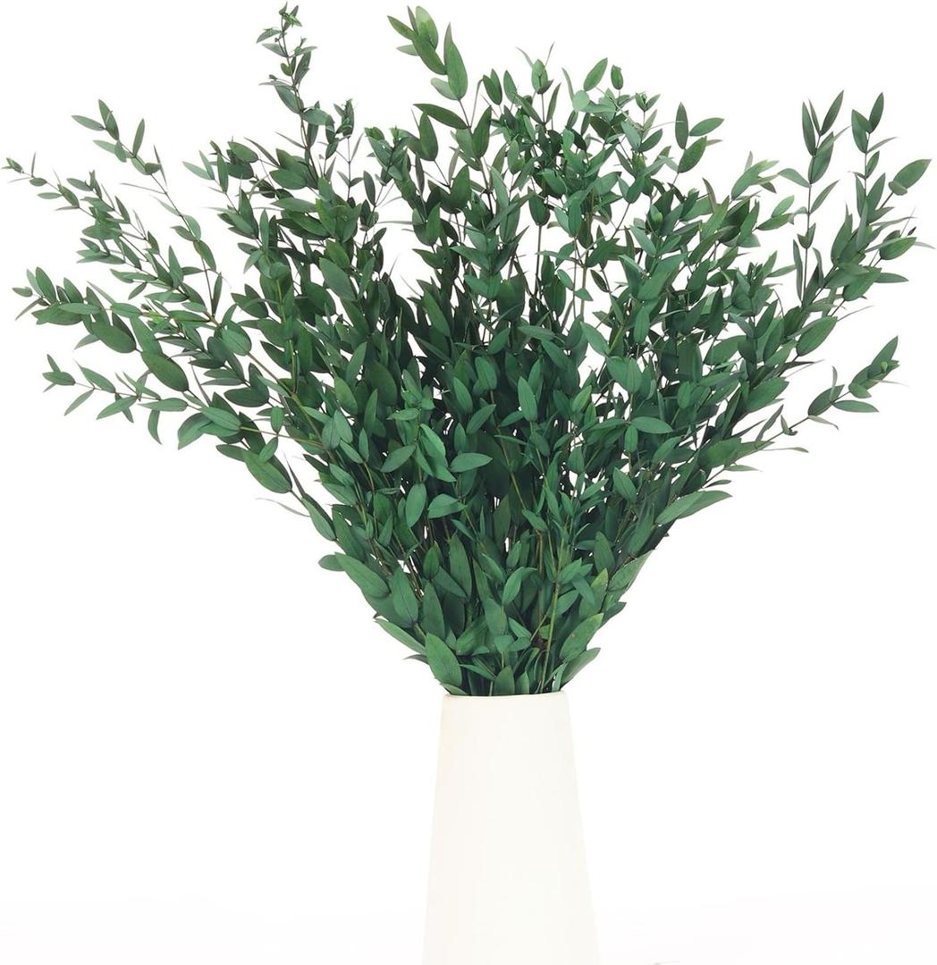 Preserved Real Eucalyptus Leaves Branches, 7-12 Pcs Fine Leaf Eucalyptus Greenery for Home Decor - Vase Filler, Wedding Centerpieces, Floral Arrangements, Crafting (14''-17'', Green)