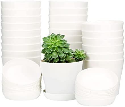 Amazon.com : TDHDIKE 25 Pcs Plastic Planters Indoor Flower Plant Pots, Mini Flower Seedlings Nursery Pot with Pallet, Modern Decorative Gardening Containers (White, 25) : Patio, Lawn & Garden