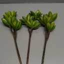 Woration 3PCS Artificial Succulents Branch Fake Plants Unpotted Faux Large Succulent for DIY Crafting Home Floral Wall Garden Arrangement Office Party Decoration (Green Style D)