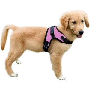 No Pull Reflective Adjustable Dog Harness with Handle- Comfortable Soft All Weather Mesh, Easy On Puppy Harness for Small Medium and Large Dogs (Pink) Small
