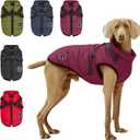 Warm Dog Winter Coat, Dog Cold Weather Jacket with Built-in Harness, Reflective & Adjustable Comfortable Pet Vest, Windproof Apparel for Small Medium Large Dogs (Purple)