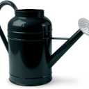 LONGRUN 2.3 Gallon Dark Green Metal Watering Can for Plants and Garden with Removable Spout, Made of Galvanized Iron