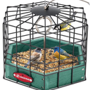 Kingsyard Squirrel Proof Platform Bird Feeders for Outdoor Hanging, 10" Wide Metal Caged Bird Feeder for Small Wildbirds Finches, Recycled Plastic Feeding Platform with Metal Seed Tray, Green