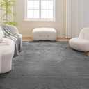 Amazon Basics Fluffy Washable Area Rug, Shaggy Carpet for Living Room, Bedroom, 5' W 7' L, Dark Gray