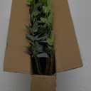6PCS Artificial Greenery Leaves Stems, 36.6" Tall Fake Plants Branches 3 Mix Colored Faux Greenery Branches Real Touch DIY Stems for Home Garden Office Kitchen Patio Farmhouse Decor