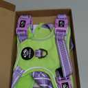 PHOEPET No Pull Dog Harness, Unique Colors Reflective Adjustable Dog Vest, with Soft Training Handle Metal Clips for Dogs (Green Base & Purple Straps,M)