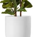 LE TAUCI 12 Inch Pots for Plants, Ceramic Large Planters for Indoor Plants, Indoor Plant Pots for Home Garden Patio Office, Planter Pots with Drainage Hole and Rubber Plug, White